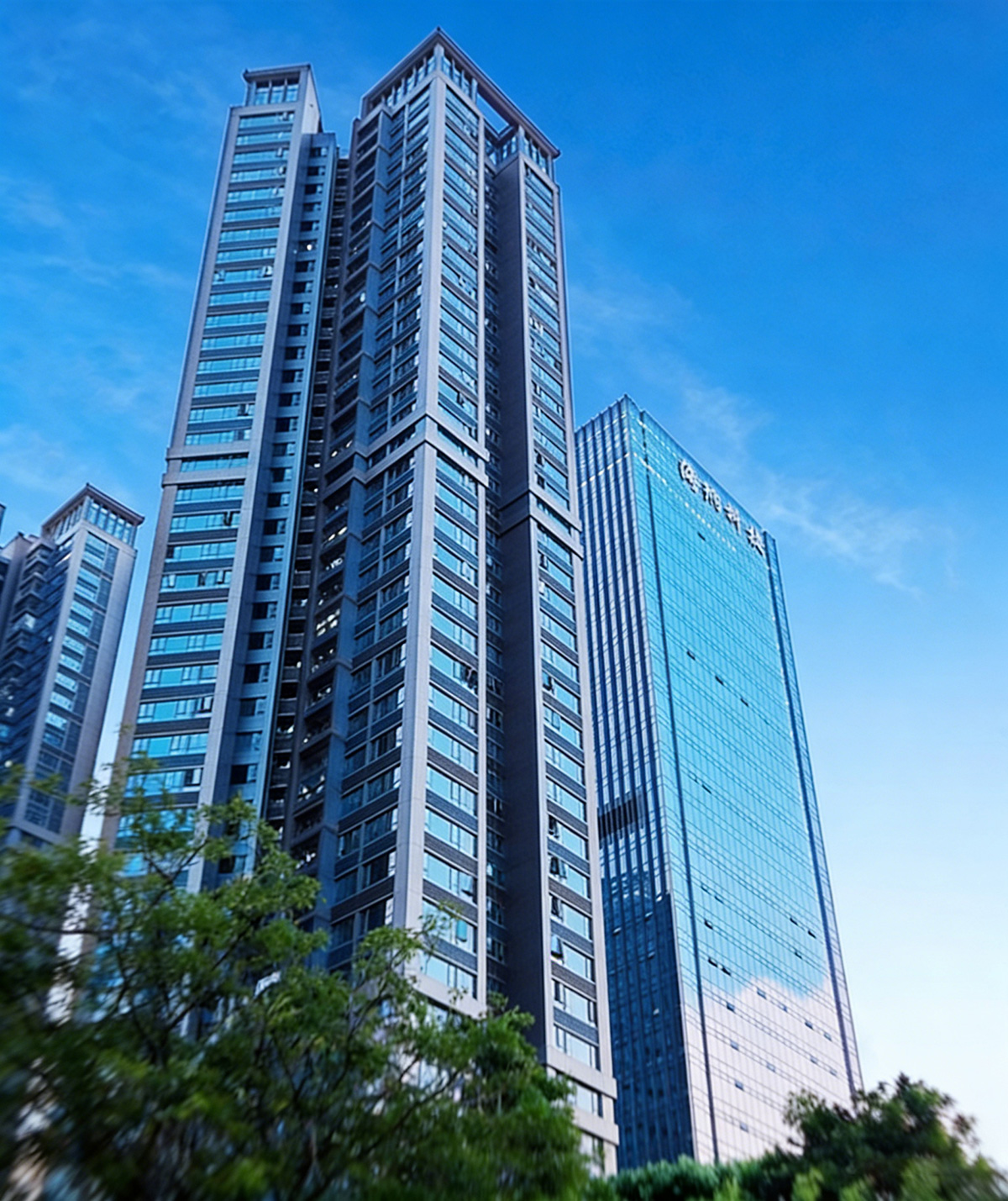 Company Profile